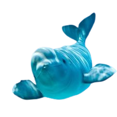 Beluga